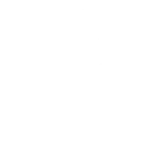 Vactivos de información